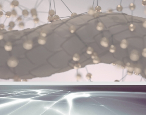 Screenshot_1